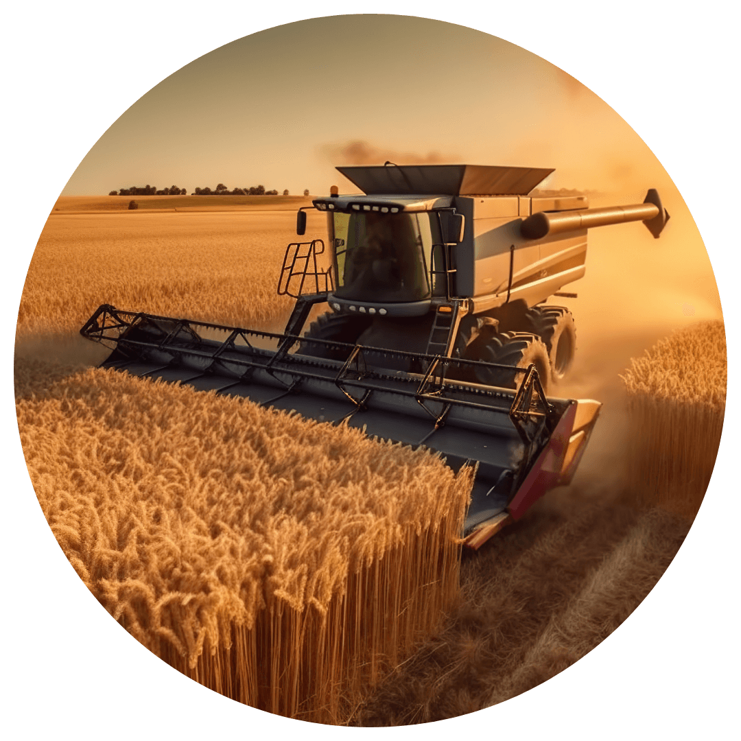 Sobre Nós - DM Agro Soluções Inteligentes